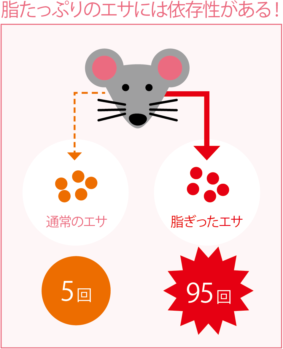 脂たっぷりのエサには依存がある!